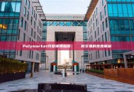 Polymarket完整使用指南：從註冊到交易的步步解析