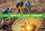 Layer 1 如何保證安全？會被駭客攻擊嗎？新手完整指南