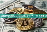 藍U能直接提幣到MetaMask/冷錢包嗎？手續費貴不貴？新手詳解