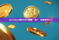 imToken用USDT加哪個錢包？稅率是多少？