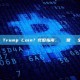 如何購買Trump Coin？完整指南、風險與常見問題全解析
