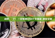 別被假記錄騙了！一文看懂USDT交易查詢的安全盲區