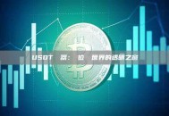 USDT瀏覽器：數位貨幣世界的透明之窗