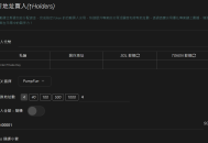 Pump新地址買入（↑Holders）教程