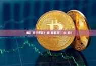 藍U溢價多少正常？哪裡能看到實時藍U價格？