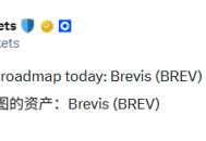 Brevis發幣在即：社群激勵佔32.2%，空投註冊即將上線