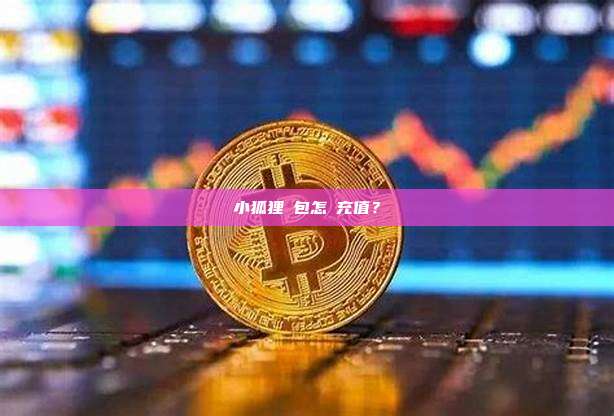 小狐狸錢包怎麼充值？