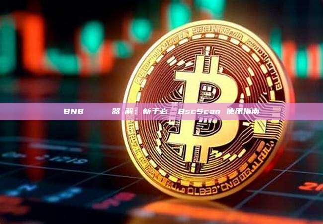 BNB 區塊鏈瀏覽器詳解：新手必讀 BscScan 使用指南