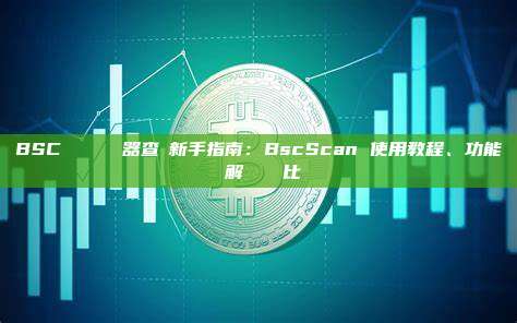 BSC 區塊鏈瀏覽器查詢新手指南：BscScan 使用教程、功能詳解與數據對比