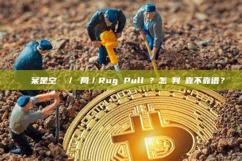 這個專案是空氣幣／騙局／Rug Pull嗎？怎麼判斷靠不靠谱？