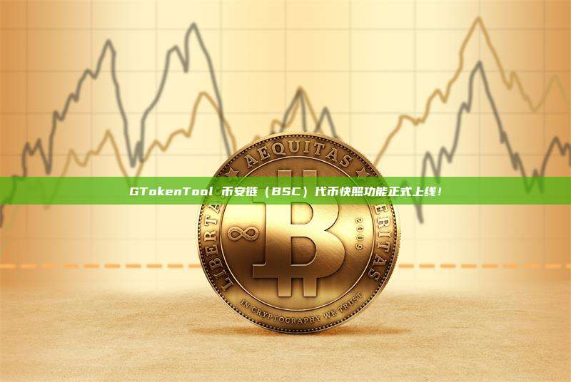 GTokenTool 币安链（BSC）代币快照功能正式上线！
