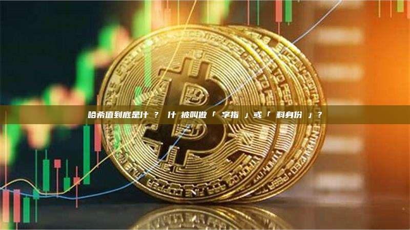 哈希值到底是什麼？為什麼被叫做「數字指紋」或「資料身份證」？