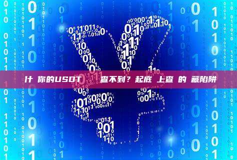 為什麼你的USDT轉賬記錄查不到?起底鏈上查詢的隱藏陷阱